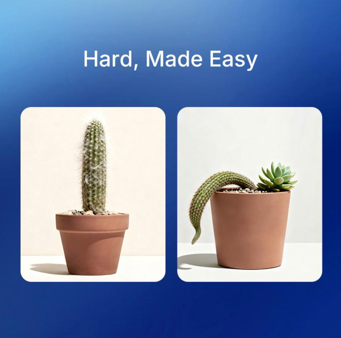 BlueFocus™ Complex Capsules